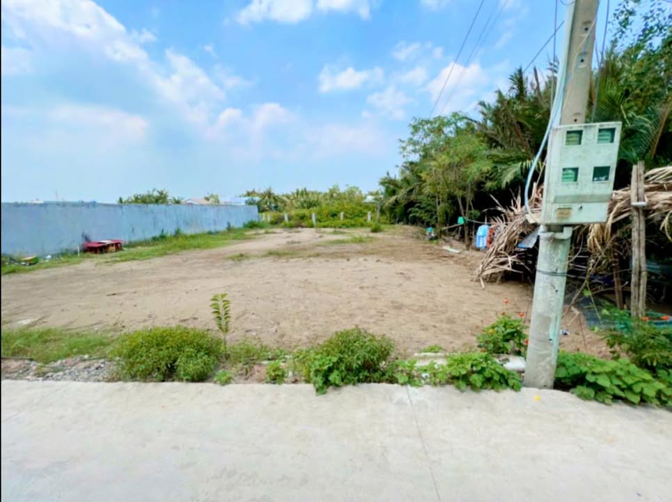 Bán Đất Vườn Cần Giuộc 533m² - Sổ Hồng Riêng, Sẵn Sàng Sang Tên