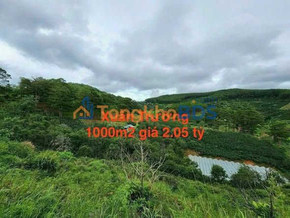 Bán Gấp Đất Nền Đà Lạt 1000m² Sổ Riêng - Giá 2.05 Tỷ View Săn Mây
