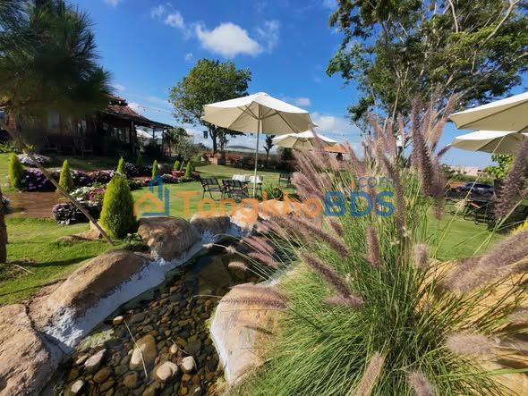 Đất Vườn Nghỉ Dưỡng 275m² Xã Tu Tra, Lâm Đồng - Giá Tốt