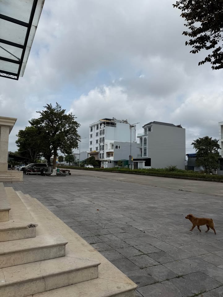 Đất nền Móng Cái 101m² đường đôi - Cơ hội đầu tư sinh lời