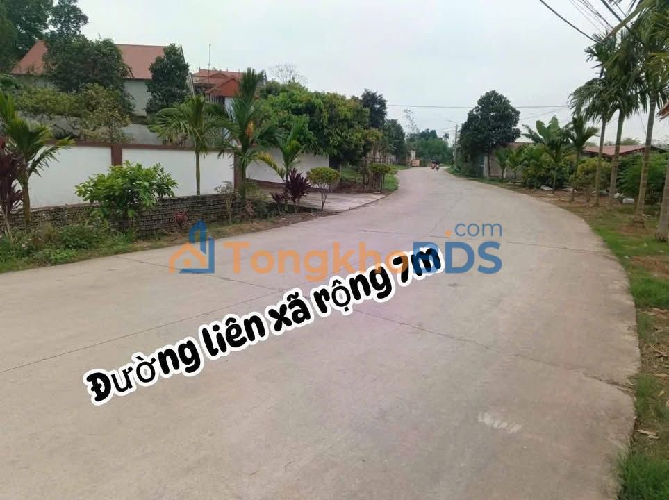 Bán Đất 100m² Mặt Đường Liên Xã Tân Yên, Bắc Giang - 1 Tỷ