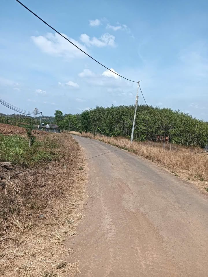 Đất Mặt Tiền Nhựa Đăk Mil, Đăk Nông 7000m² - Giá Đầu Tư 13.3 Tỷ