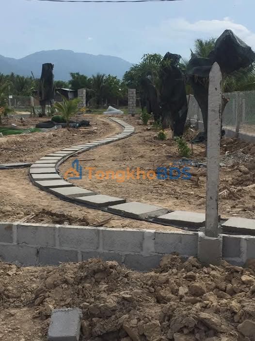 Bán đất cà phê Lộc Bảo, Bảo Lâm 9000m² - Sổ đỏ 300 triệu