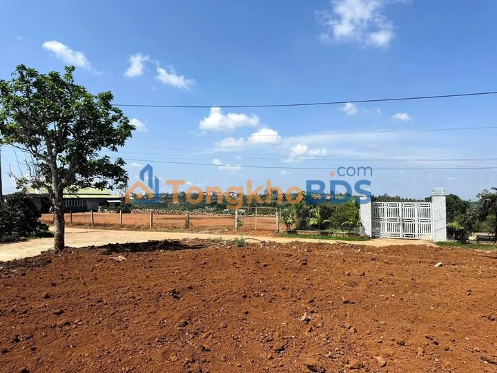 Đất nền Tân Văn Lâm Hà 2,5ha giá 750 triệu – Sổ đỏ chính chủ