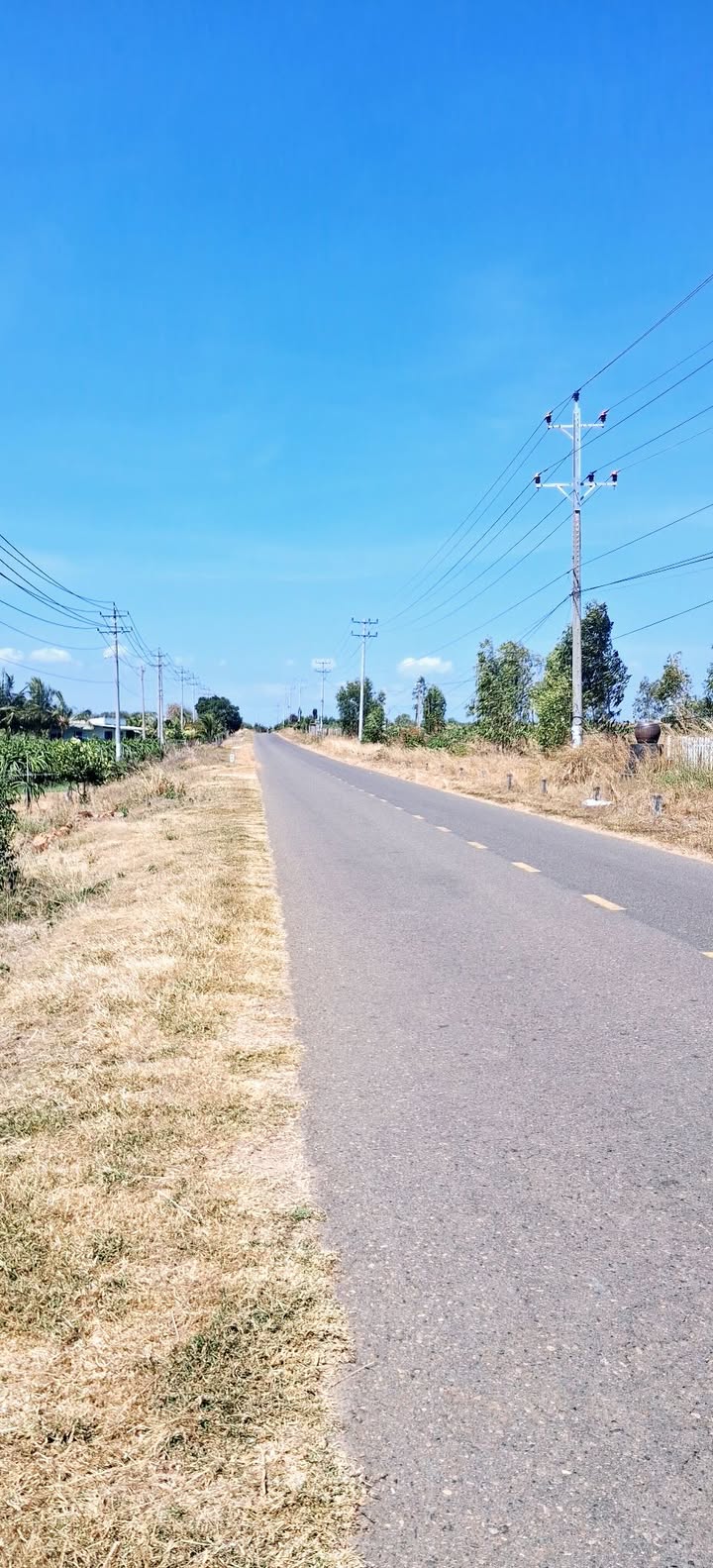 Bán Đất Vườn 11.000m² Mặt Tiền Nhựa Thuận Quý - Tiềm Năng Đầu Tư Lớn