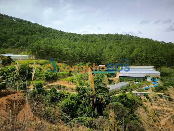 Đất Nông Nghiệp Đà Lạt 505m² Sổ Hồng - View Đẹp, Mặt Tiền 35m