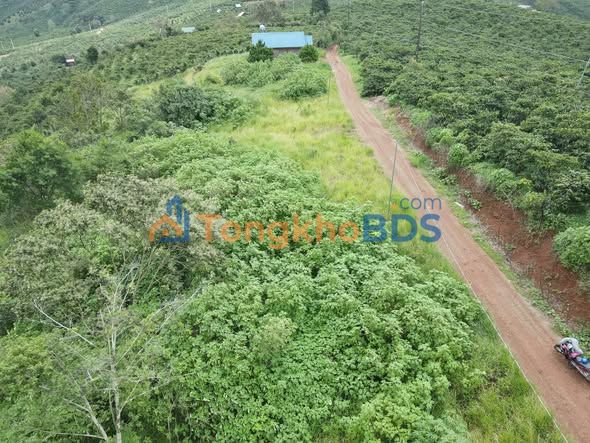 Bán Đất Vườn Di Linh 3000m² - Giá 690 Triệu Sổ Hồng