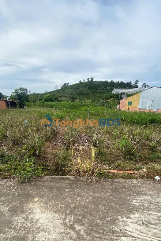 Đất Vườn Lâm Hà 4500m² Sổ Đỏ Rõ Ràng - Giá Đầu Tư 850 Triệu