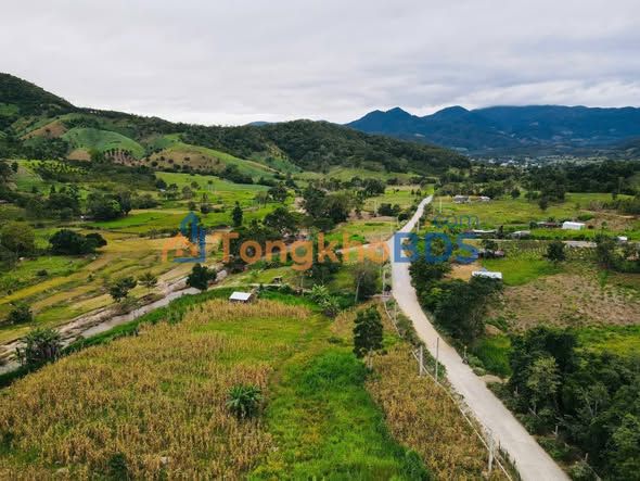 Bán Gấp Đất Vườn Pro'h, Đơn Dương - 7300m² Mặt Tiền 86m Đường Thông