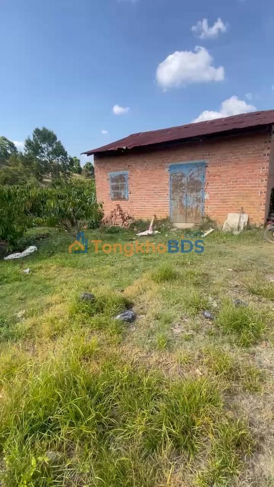 Bán gấp 7200m² đất triền đồi Liên Đầm, Di Linh - Sổ đỏ sẵn sàng