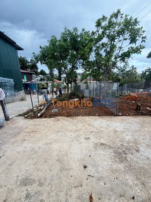 Bán 3 Lô Đất Nông Nghiệp Đà Lạt 168m² - Sổ Nông Nghiệp