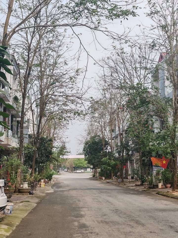 Đất nền 100m² đường A3 Kosy, Lào Cai - Hướng Tây Nam, Giá 11 tỷ