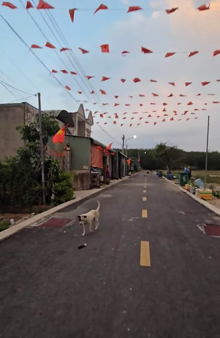 Bán đất 166m² mặt tiền đường Hội Nghĩa 25, Tân Uyên - Sổ hồng thổ cư