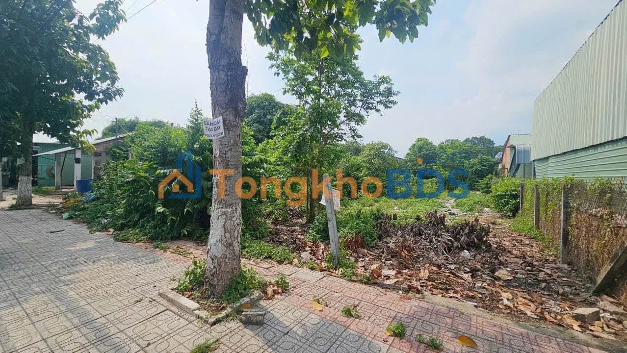 Đất Vàng Mặt Tiền Lộ 7A Bến Cát - 1134m² - Giá 8 Tỷ - Sổ Đỏ Sẵn Sàng