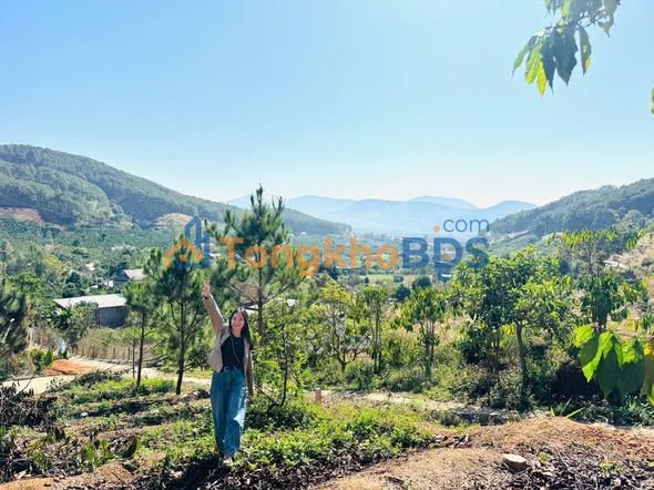 Đất Nền Nam Ban Lâm Đồng 1000m² - Sổ Đỏ Sẵn, Giáp Rừng Thông, View Thung Lũng