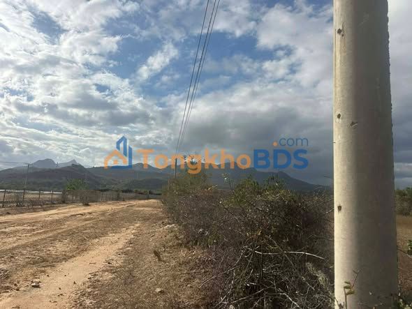 Bán Gấp Đất Trang Trại 90.000m² Ninh Thuận - Sổ Hồng Riêng, Giá Tốt