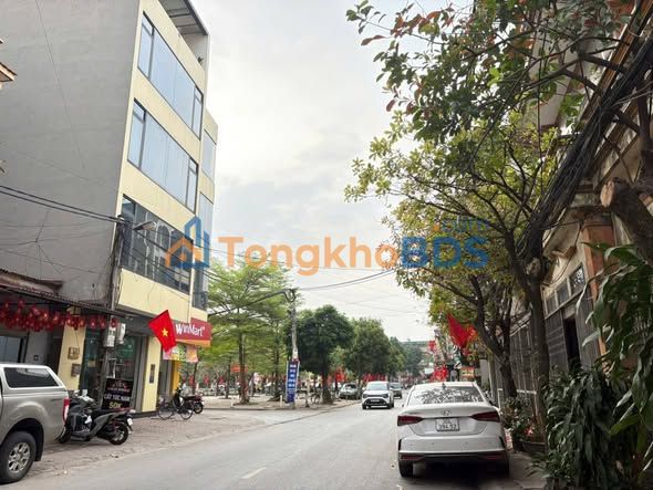 Mặt Tiền Kinh Doanh 101m² Đông Anh - Ô Tô Tránh, View 200m