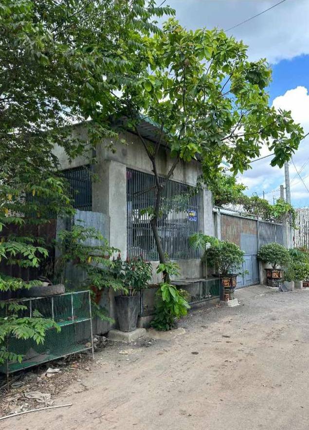 Đất Chính Chủ Bình Chánh 100m² - Đường 7m, Sổ Vi Bằng, Giá 1.5 Tỷ