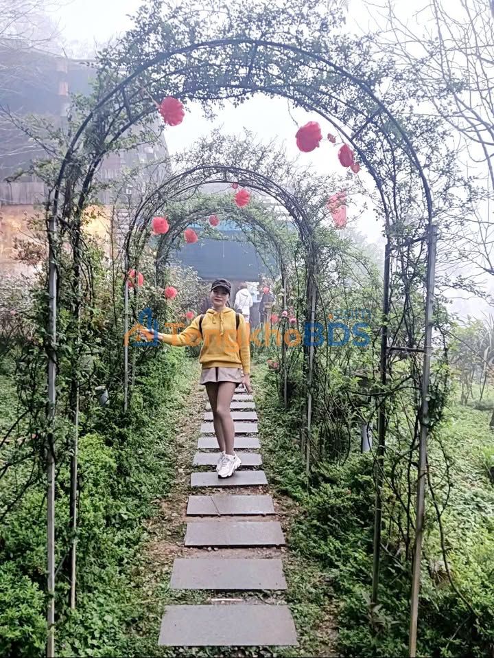 Đất nền 400m² Tân Thành, Dương Kinh - Tiềm năng đầu tư/xây biệt thự