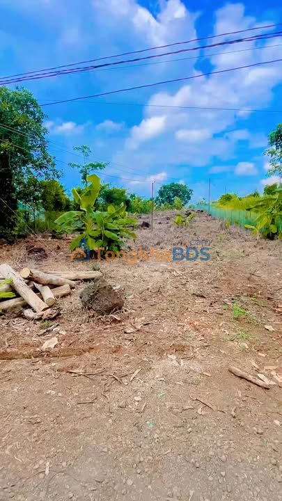 Đất nền Đồng Nai 6480m² mặt tiền 17m - Đầu tư sinh lời hoặc nghỉ dưỡng lý tưởng