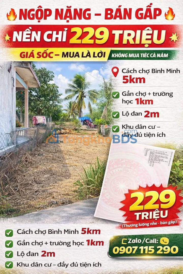 Bán Gấp Nền 84m² Xã Đông Thành, Bình Minh - Chỉ 229 Triệu