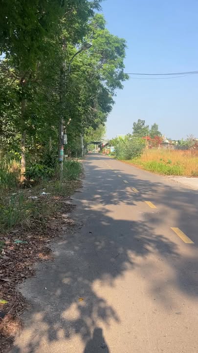 Đất nền Bàu Bàng 1140m² - Sổ đỏ thổ cư, đối diện trường mầm non