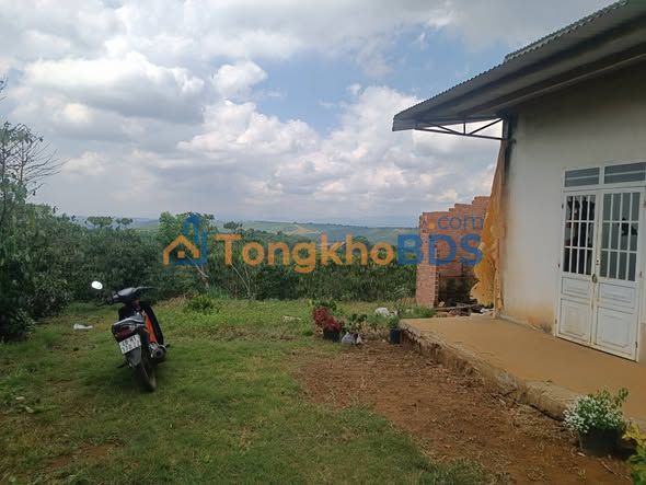 Đất Lộc Ngãi 4.700m² giá 7.18 tỷ - Sổ đỏ chính chủ