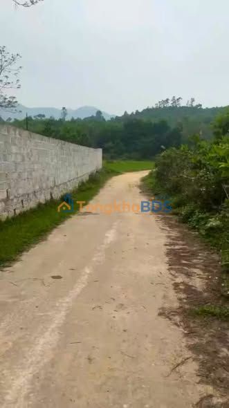 Đất nền Bình Sơn Sông Công 100m² 300 triệu - Đất thổ cư 100%