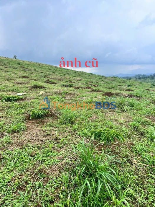 Đất nền Lộc Bắc Bảo Lâm 11.000m² 2.3 tỷ - Sổ đỏ chính chủ