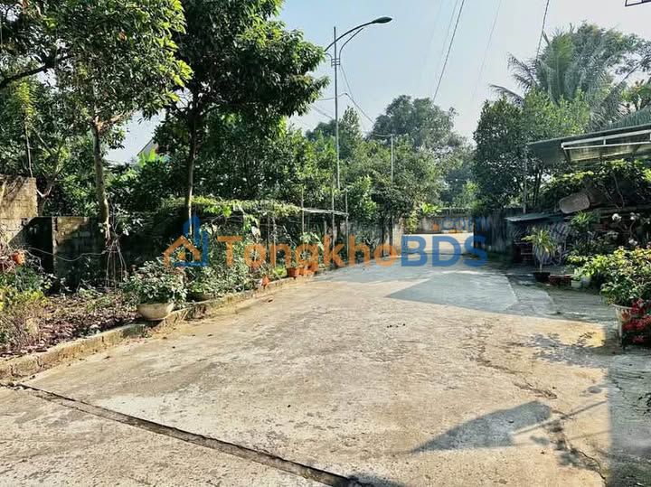 Bán đất 148m² Phường Hữu Nghị, TP Hòa Bình - Ngõ ô tô, Sổ ODT