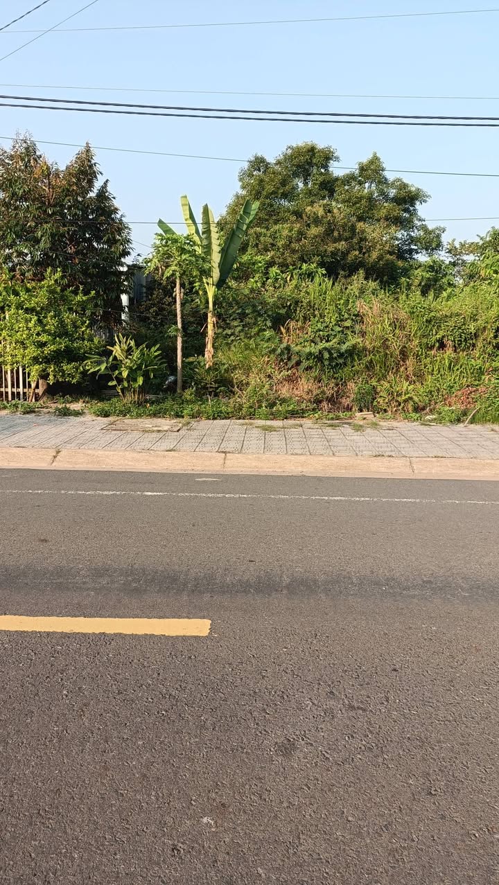 Đất Vàng Mặt Tiền 26/3 Đạ Huoai - 600m² Kinh Doanh Sầm Uất - 1.62 Tỷ