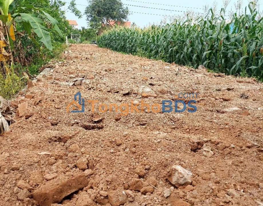 Đất Sài Sơn, Quốc Oai 160m² - Sổ mới, Giá tốt đầu tư