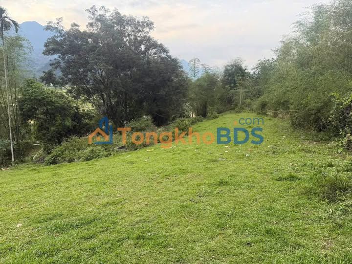 Đất nền Gia Mô Tân Lạc 3.154m² 1 tỷ - Sinh thái xanh