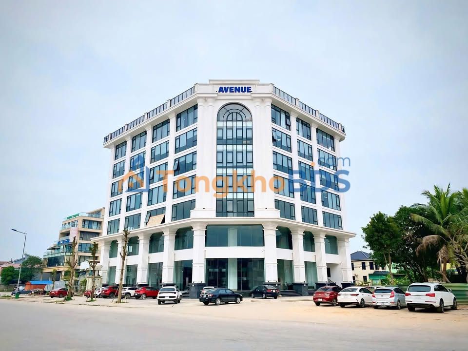 Cho thuê văn phòng Tòa Avenue, Vinh - 80m² - Kinh doanh lý tưởng