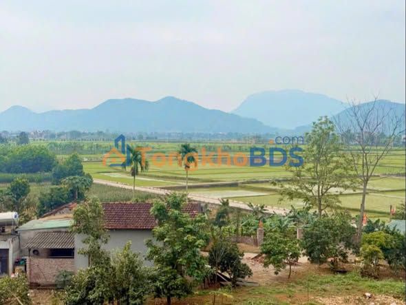 Đất nền Ba Vì 2050m² - View đồng thoáng đãng, tiềm năng tăng giá
