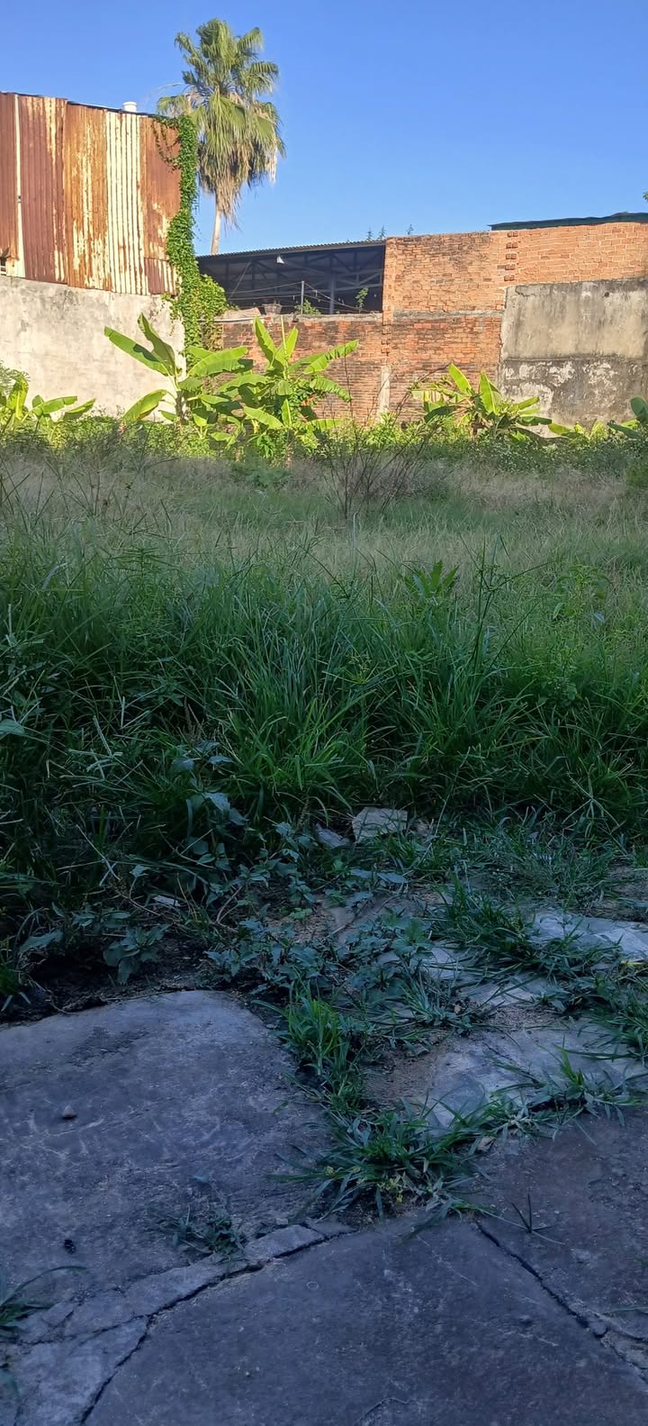 Bán đất Phường 5 Tuy Hòa 100m² Hướng Tây Nam - Sổ Hồng Sẵn Sàng