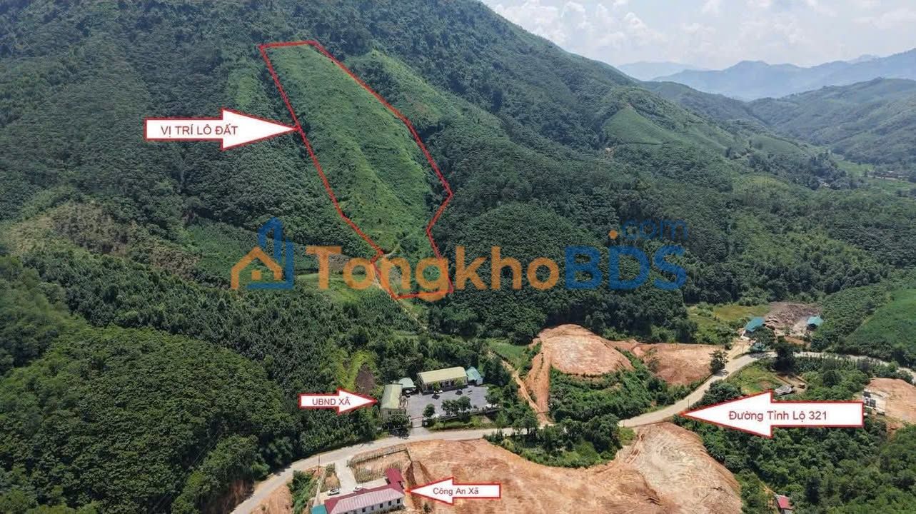Đất Rừng Sản Xuất 3.7HA Phú Thọ - Giá Tốt Đầu Tư