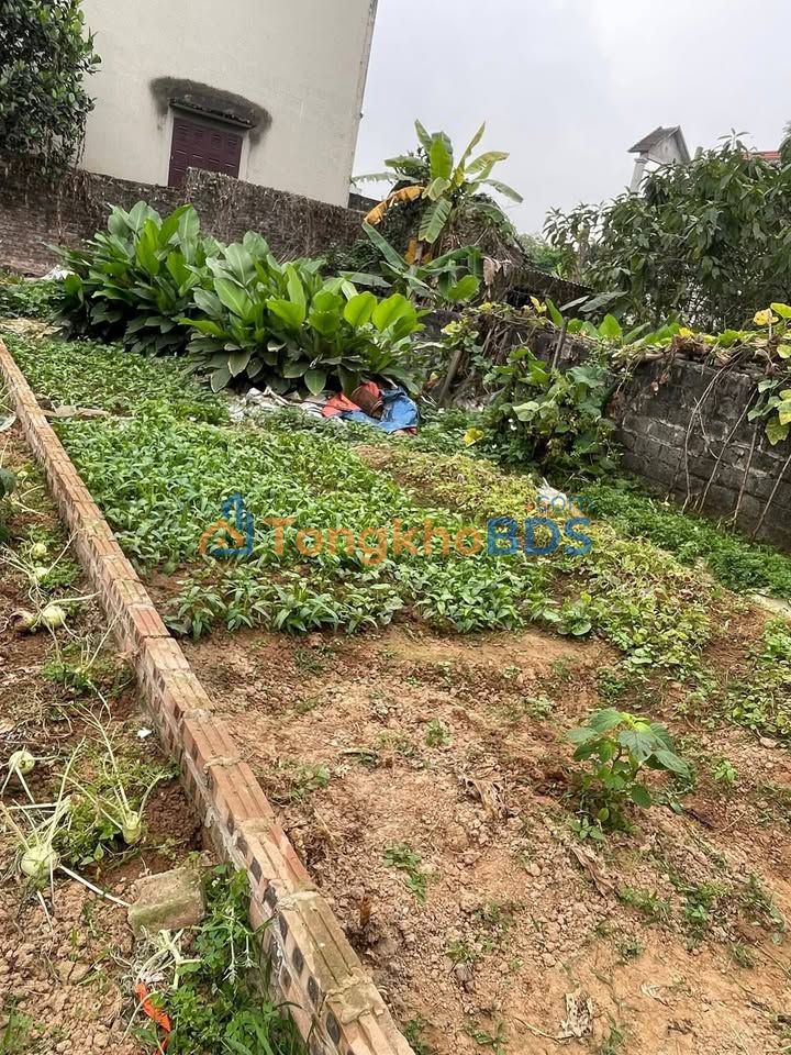 Đất nền Ba Vì 70m² - Sổ đỏ chính chủ, giá hơn 1 tỷ