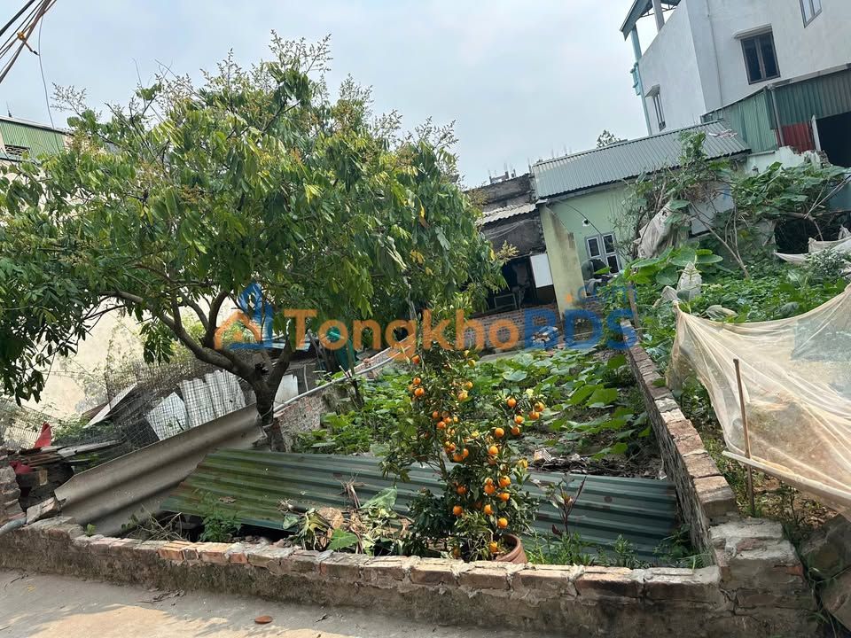 Bán Gấp Đất Vàng 50m² Sát Vin Olympic, Nam Từ Liêm - Sổ Đỏ Vuông Vắn