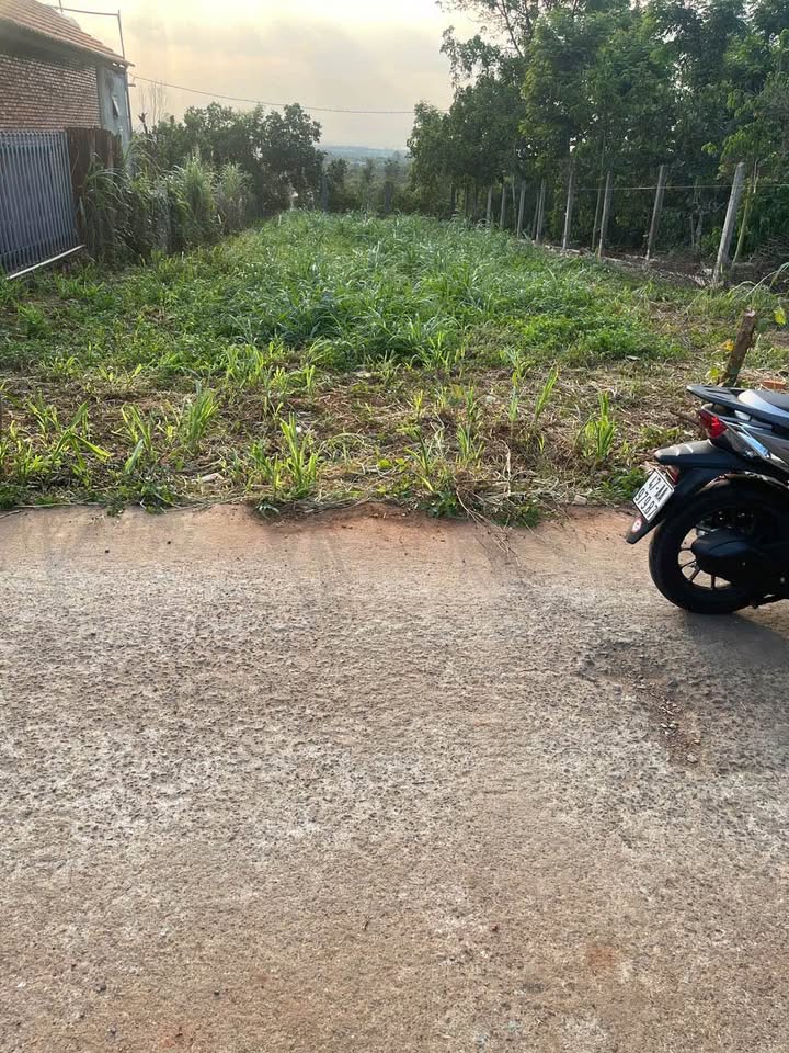 Bán Đất Thổ Cư 320m² Buôn Ma Thuột - Sổ Hồng Sẵn Sàng