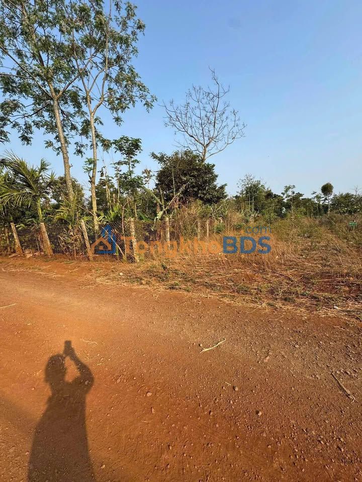 Đất Nền Ea D'Rơng, Đắk Lắk - 220m² Sổ Hồng Riêng, Giá 355 Triệu