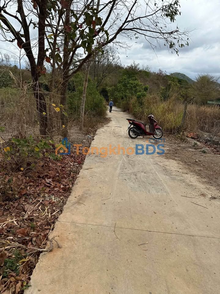 Đất Nền Tuy Hòa 300m² Sổ Đỏ - Ngay Khu Du Lịch Trorbur Giá 350 Triệu