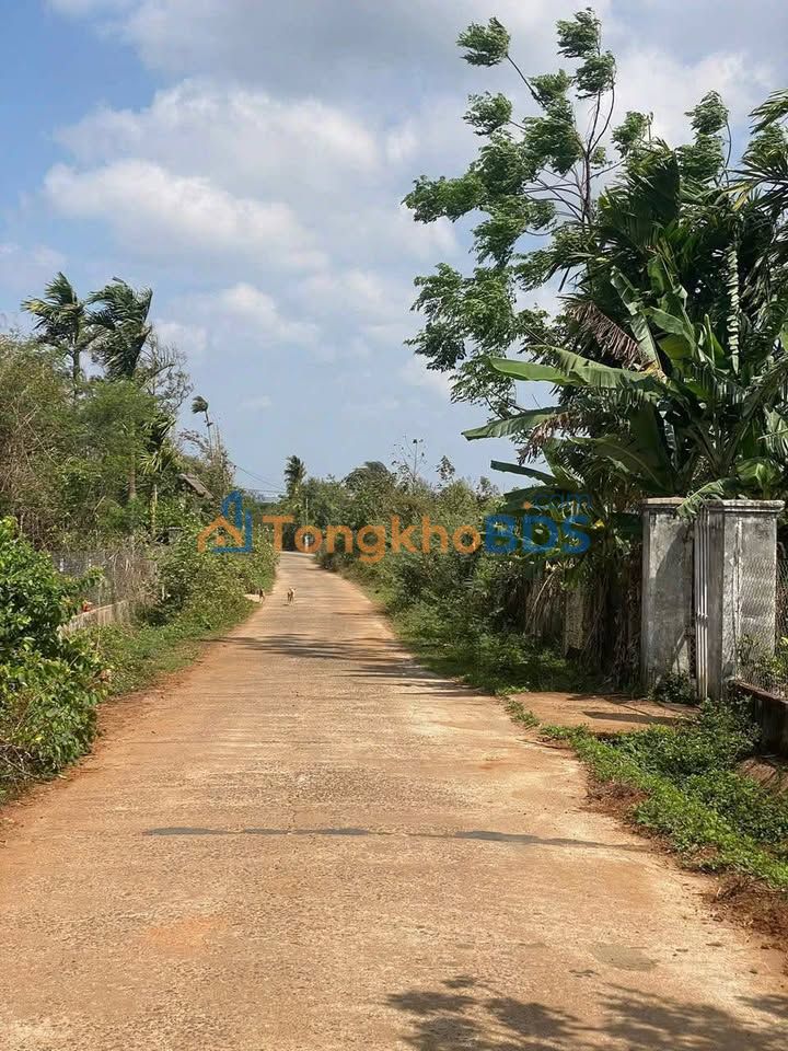 Đất Nền Mặt Tiền Buôn Comleo, Cư M'gar - 100m² Giá 799 Triệu