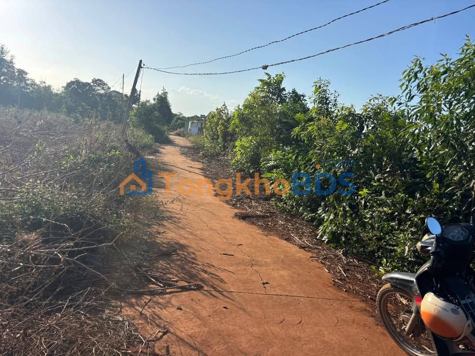 Đất Vườn 779m² Mặt Tiền Ymol Nối Dài, Tuy Hòa - Giá 1.29 Tỷ