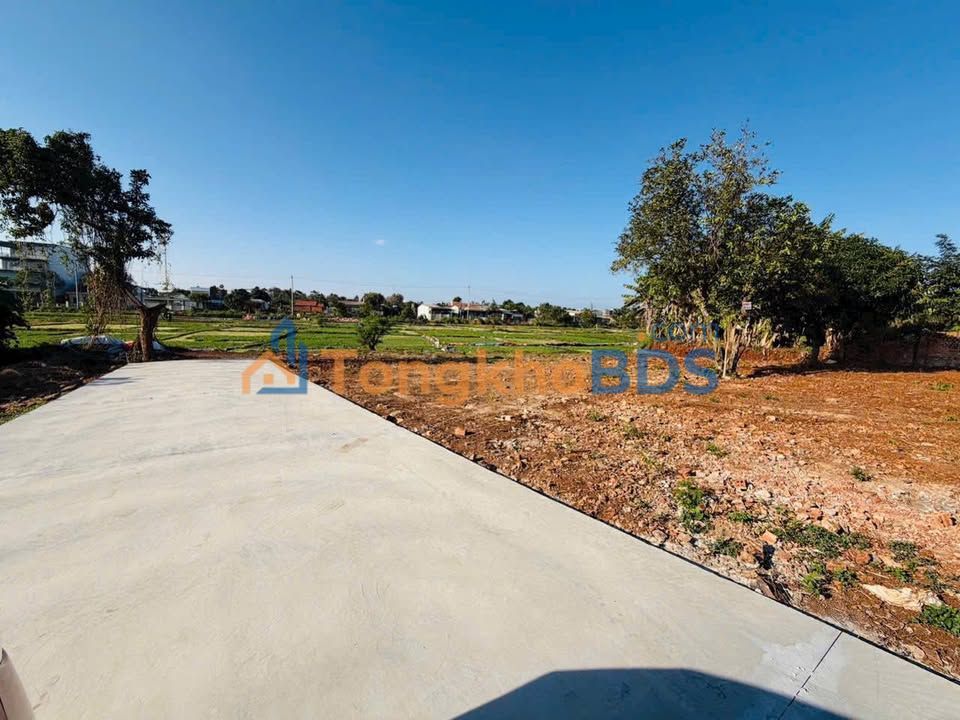 Đất nền liền kề 140m² Hẻm Trần Phú, BMT - Giá 2.28 Tỷ, Sổ Hồng Thổ Cư