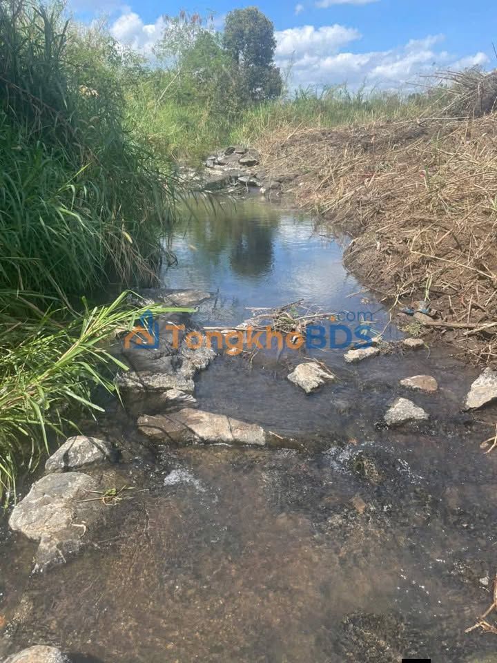 Đất Vườn Buôn Ma Thuột 2988m² - Mặt Tiền Bê Tông, Suối Riêng, Giá 1.5 Tỷ