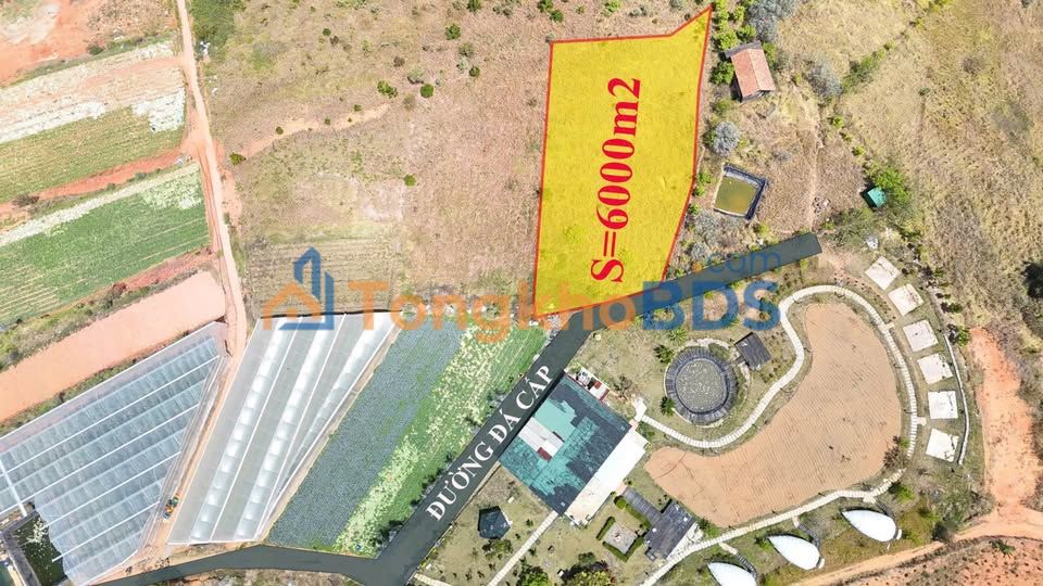 Đất Vườn Lạc Dương 6000m² - Giá Đầu Tư Chỉ 350tr/1000m²