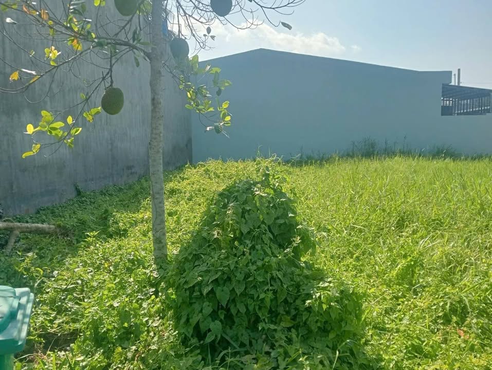 Bán Đất Vị Trí Đẹp Phường Phú Tân, Bến Tre - 100m² Giá 650 Triệu