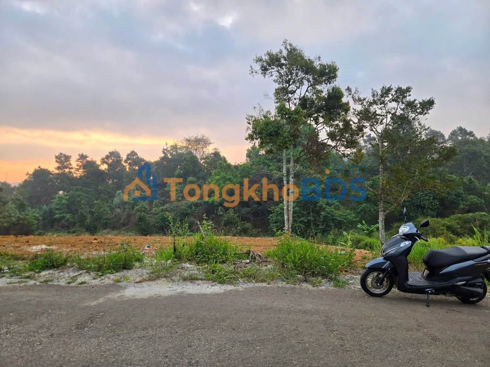 Đất Nền Mặt Tiền Chi Lăng, Bảo Lâm 320m² - Giá 1.6 Tỷ Sở Hữu Ngay!