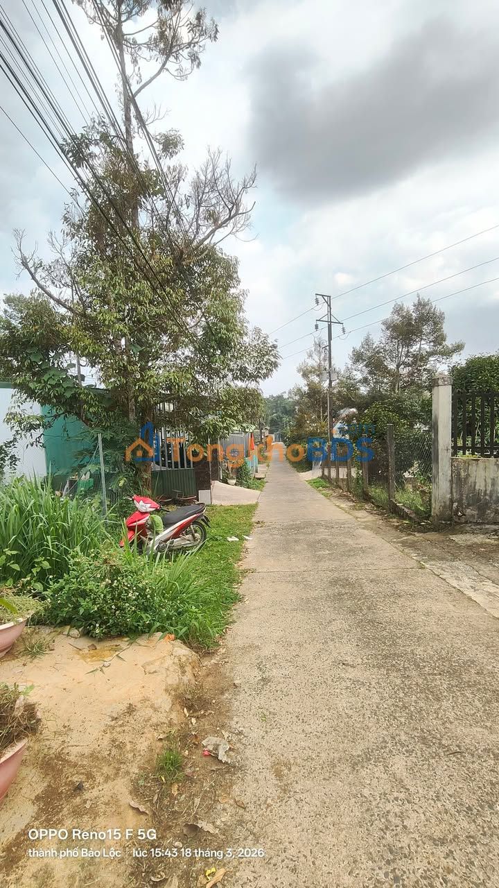 Đất nền Hẻm 118 đường 1/5 Bảo Lộc 180m² - Sổ hồng sẵn sàng giao dịch
